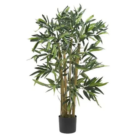 3ft. Potted Biggy Bamboo Silk Tree {1}