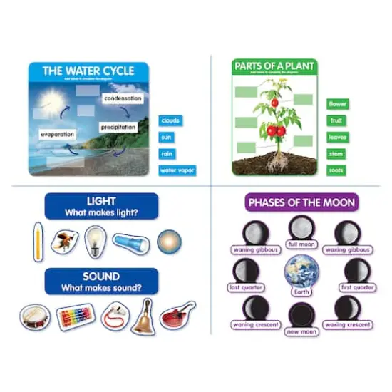 Scholastic&reg; Early Science Concepts Bulletin Board Set {3}