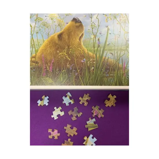 Robert Bissell - The Whole World Puzzle: 1000 Pcs {6}