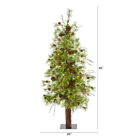4ft. Pre-Lit Wyoming Alpine & Pinecone Artificial Christmas Tree, Clear LED Lights {3}