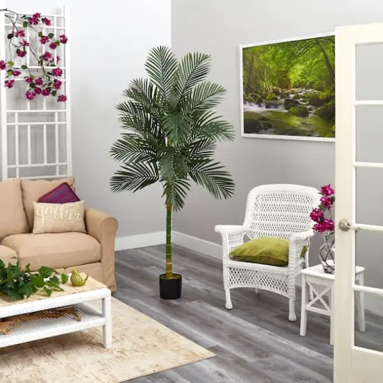 7ft. Potted Golden Cane Palm Tree {5}