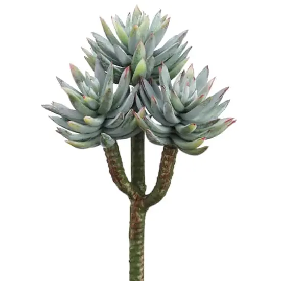 Green Mini Agave Pick {1}