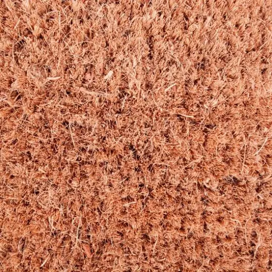 DII&reg; Aloe There Doormat {6}