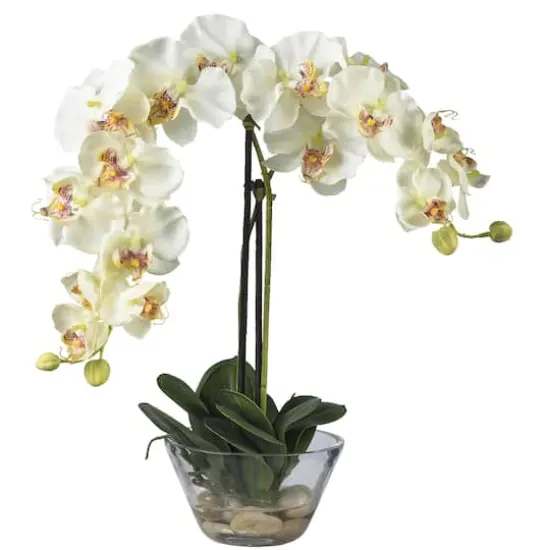 18" White Orchid Arrangement in Glass Vase {1}