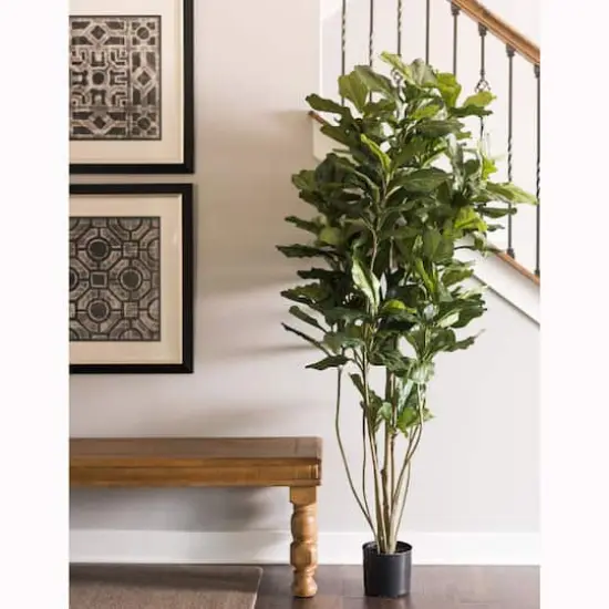 6ft. Potted Artificial Green Fiddle Tree {3}
