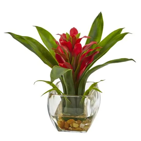 8" Bromeliad Arrangement with Glass Vase Set {3}
