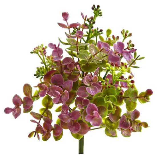 Purple & Green Eucalyptus & Sedum Plant, 12ct. {1}