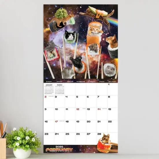 TF Publishing 2025 Space Cats Wall Calendar {4}