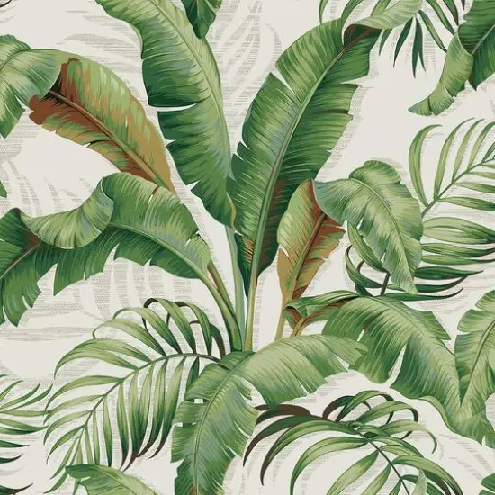 Tommy Bahama&reg; Palmiers Peel & Stick Wallpaper Aloe {2}