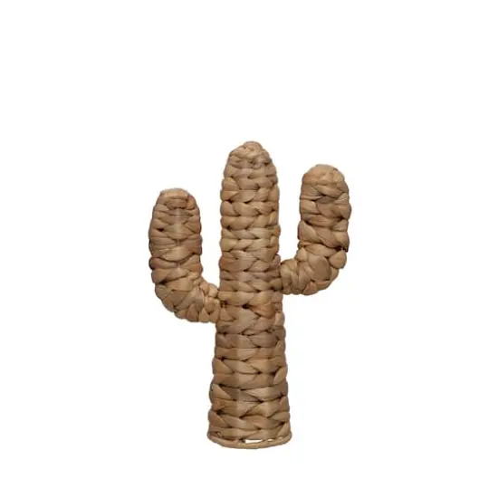 11.75" Water Hyacinth Cactus Tabletop D&eacute;cor by Ashland&reg; {1}