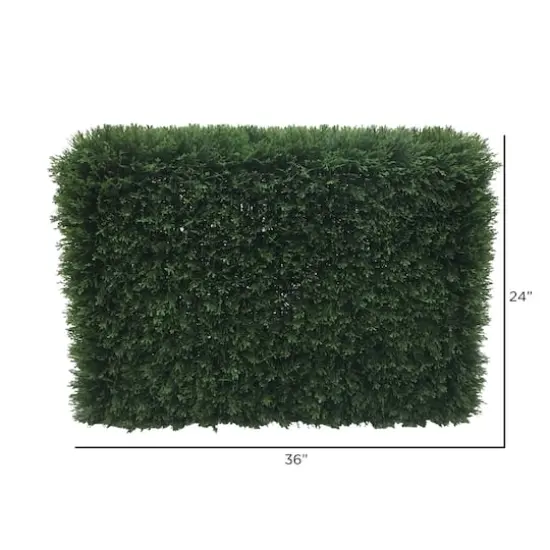 3ft. Green Cedar Hedge {3}