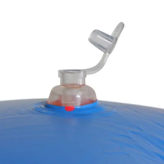 Swimline Red Inflatable Macaw Pool Raft {7}