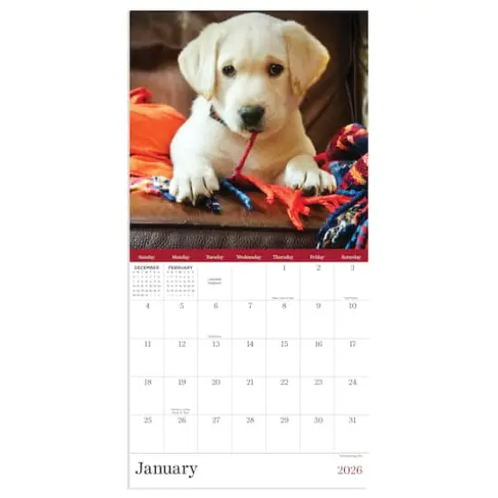 2026 Puppies Mini Calendar {3}