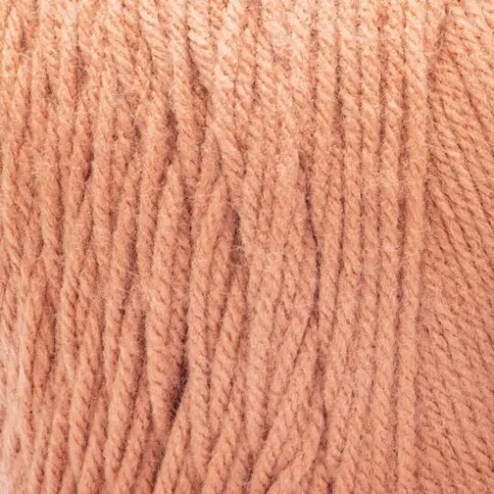 Caron&reg; One Pound&trade; Yarn Faded Brick {3}