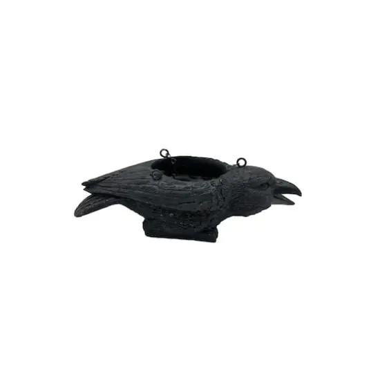 11.5" Black Crow Hanging Planter by Ashland&reg; {4}