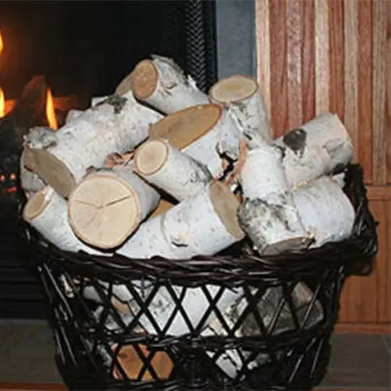 Wilson&reg; Enterprises White Birch Logs, 15lb. {3}