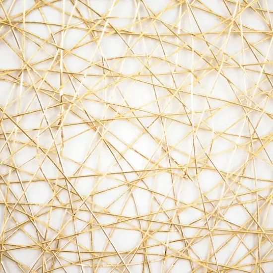 DII&reg; Woven Paper Round Placemats, 6ct. Gold {5}