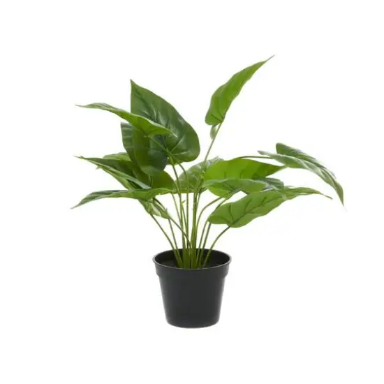 Green Plastic Traditional Artificial Foliage, 17" x 21" x 17" {6}