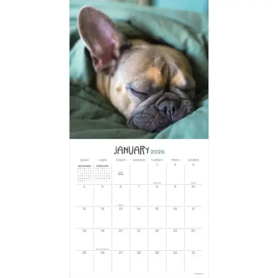 2026 Dog Dreams Wall Calendar {3}