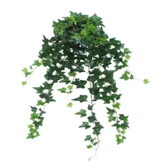 24" Green Ivy Spring Floral Hanging Bush {1}