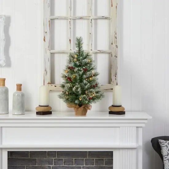 2ft. Pre-Lit Flocked Pine & Berry Artificial Christmas Tree in Burlap Base, Warm White LED Lights {7}