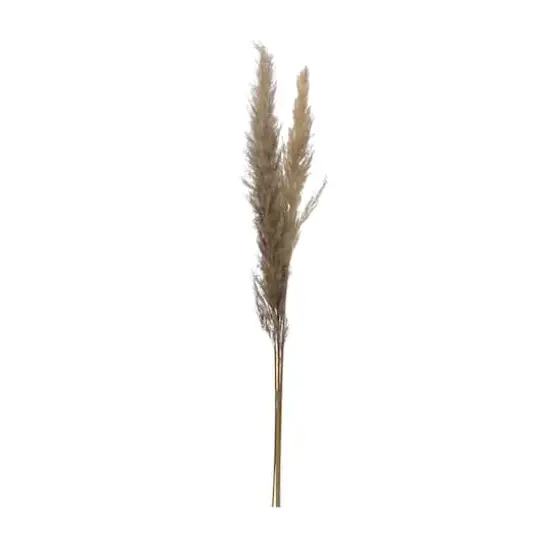 Hello Honey&reg; Dried Natural Pampas Grass Bunch {1}