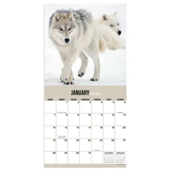 TF Publishing 2024 Wolves Mini Calendar {4}