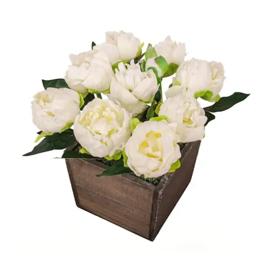 10" White Peony Flowers In Wood Box {5}