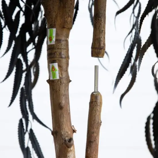 4ft. Artificial Halloween Black Willow Tree {6}