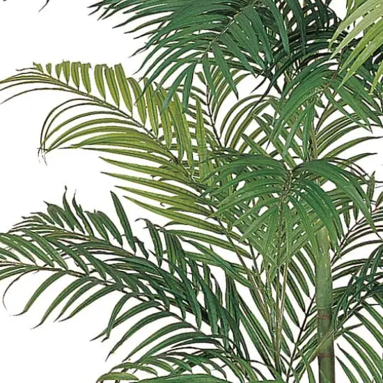 6ft. Potted Areca Silk Palm Tree {3}
