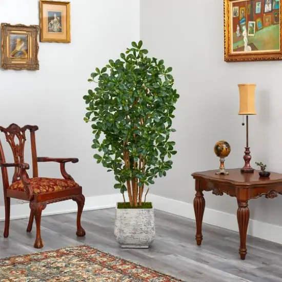 5.5ft. Black Olive Artificial Tree with 1365 Bendable Leaves in White Planter {5}