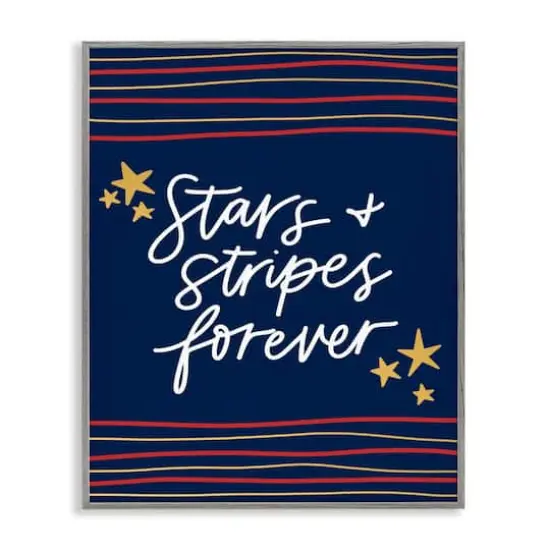 Stupell Industries Stars Stripes Forever Americana Independence Day Framed Giclee Art Gray {1}