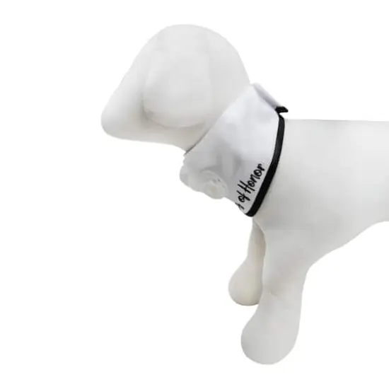 Best Furry Friends Dog of Honor Floral Collar Classic {4}
