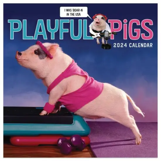 TF Publishing 2024 Playful Pigs Mini Calendar {1}