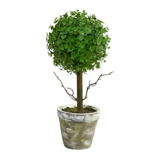 20" Potted Eucalyptus Single Ball Topiary Tree {1}