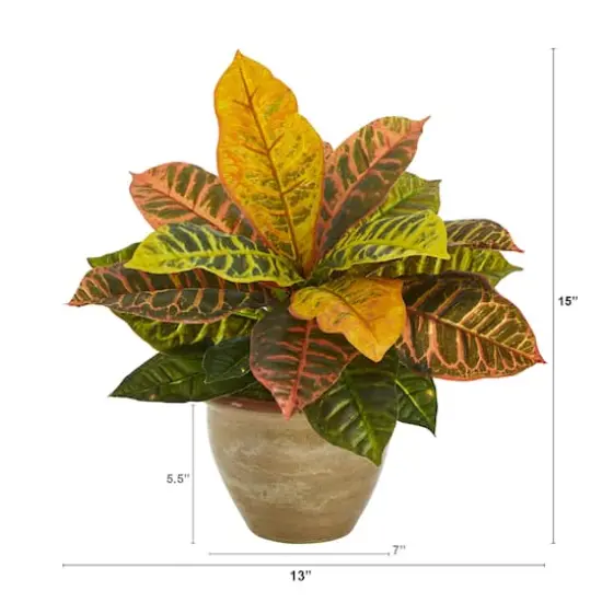 15" Garden Croton Plant in Ceramic Planter {4}
