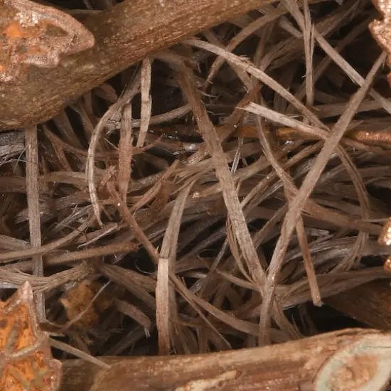 18" Harvest Brown Maple Leaves Wreath {5}