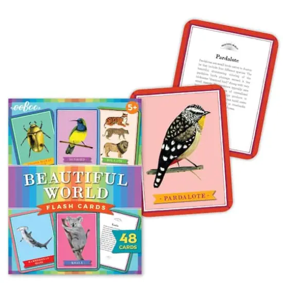 eeBoo Beautiful World Educational Flash Cards {8}