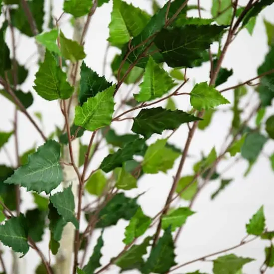 7ft. Potted Green Artificial Birch Tree with Real Touch Leaves {4}