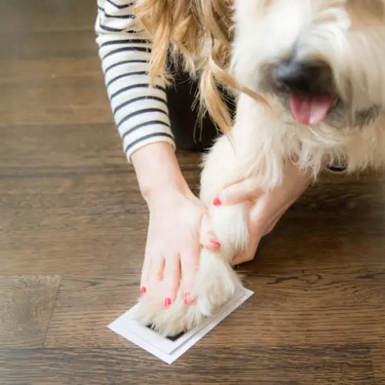 Pearhead Clean-Touch Ink Pad {7}