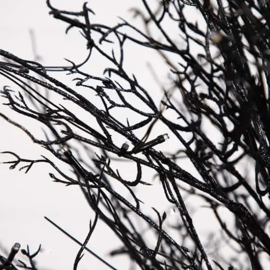 5ft. Pre-Lit LED Halloween Black Twig Artificial Fall Tree in Burlap Planter {5}