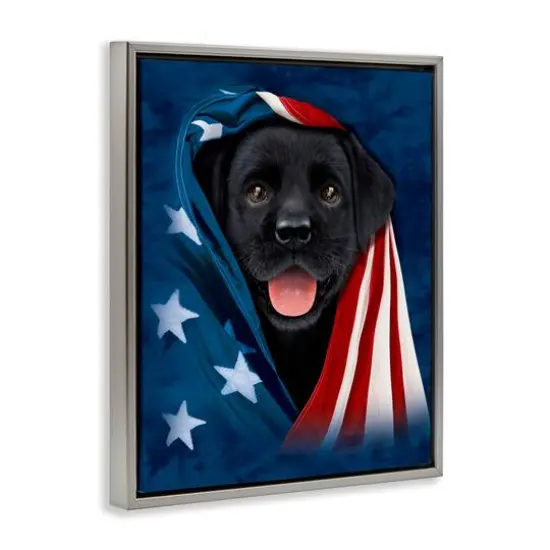 Stupell Industries Labrador & American Flag Floater Framed Art Gray {4}