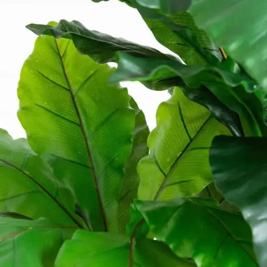 4ft. UV Resistant Artificial Bird Nest Fern Tree (Indoor/Outdoor) {5}
