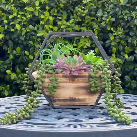 Flora Bunda&reg; 11" Succulent Arrangement in Hexagon Wood & Metal Wall Accent {4}