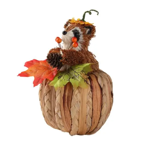 7.5" Raccoon on Pumpkin Natural D&eacute;cor by Ashland&reg; {3}