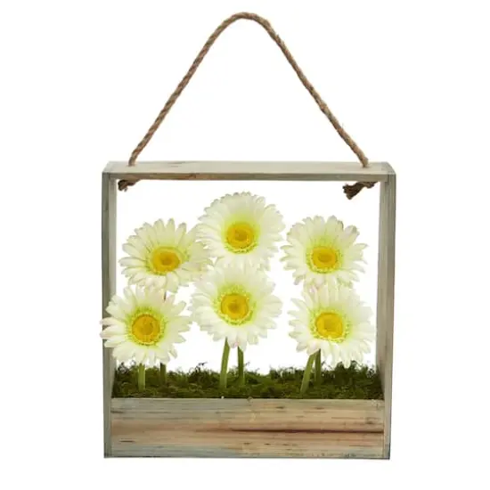 Cream Gerbera Daisy Garden in Hanging Wood Frame {1}