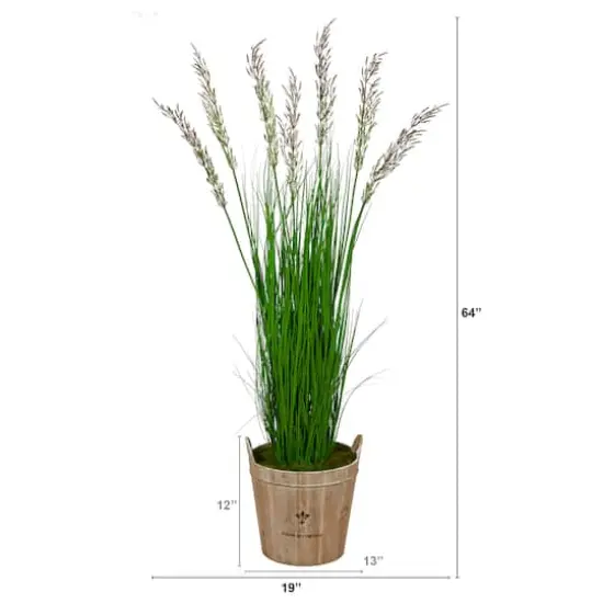 5.3ft. Wheat Grass Plant in Farmhouse Planter {5}