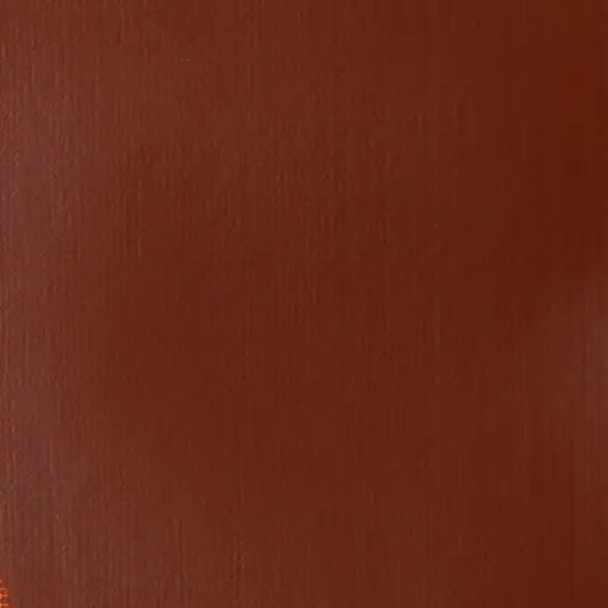 Liquitex&reg; Professional 2oz. Heavy Body Acrylic Paint 127 Burnt Sienna {6}