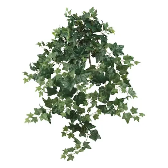 3.5ft. Puff Ivy Hanging Plant, 2ct. {1}