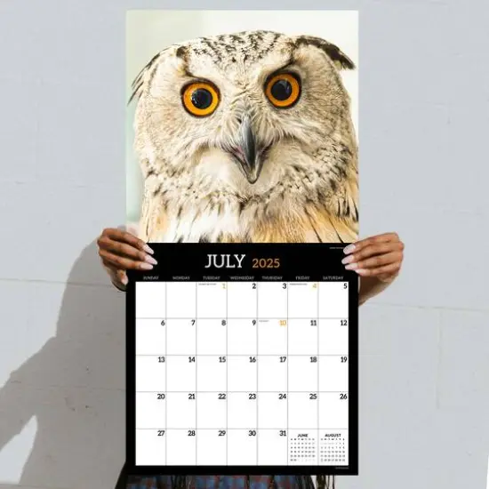 TF Publishing 2025 Owls Wall Calendar {6}